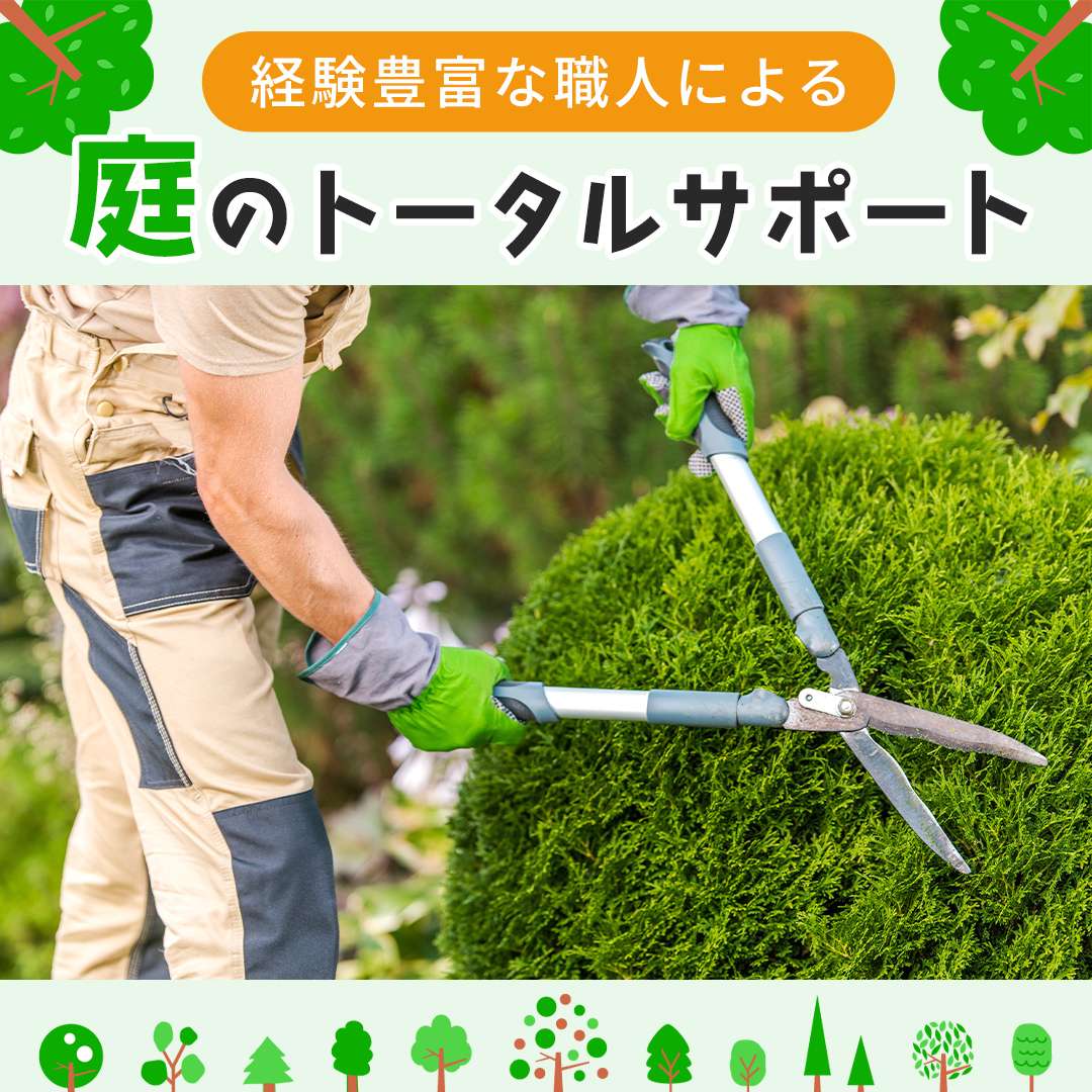 popup_banner