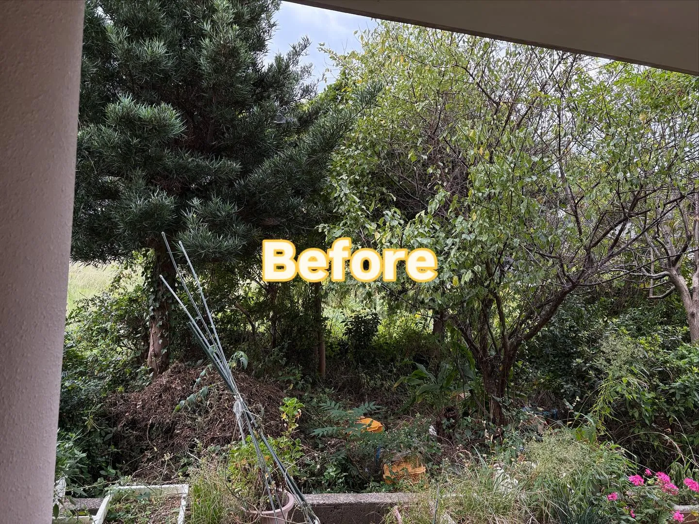 こんばんは❗️いなお造園です😊