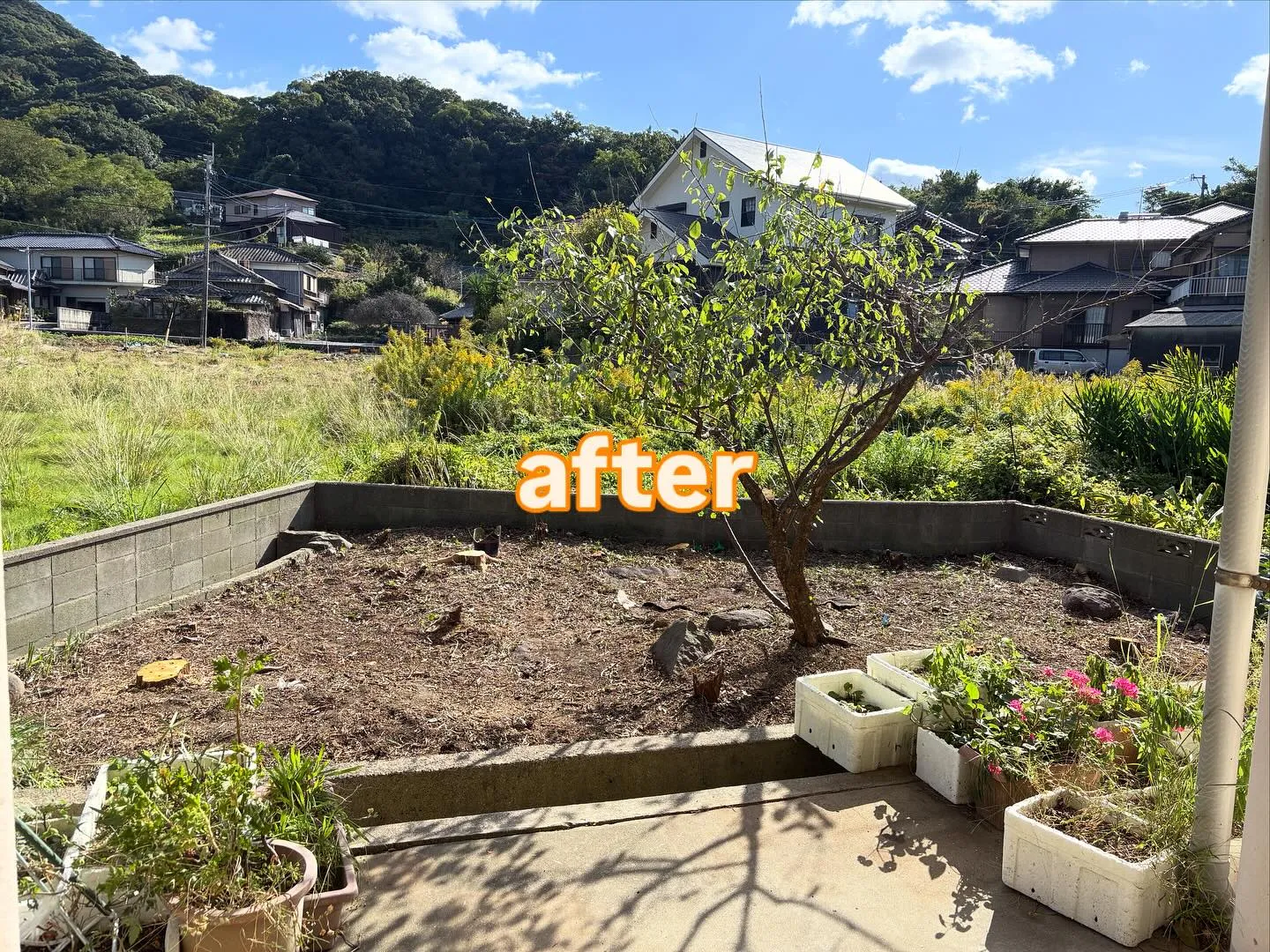 こんばんは❗️いなお造園です😊