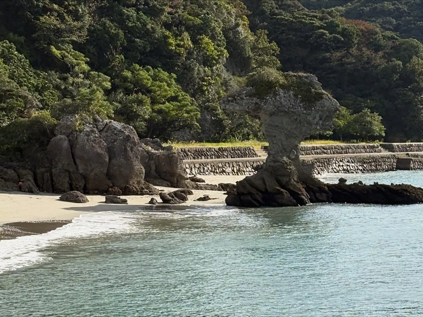 こんばんは❗️いなお造園です😊