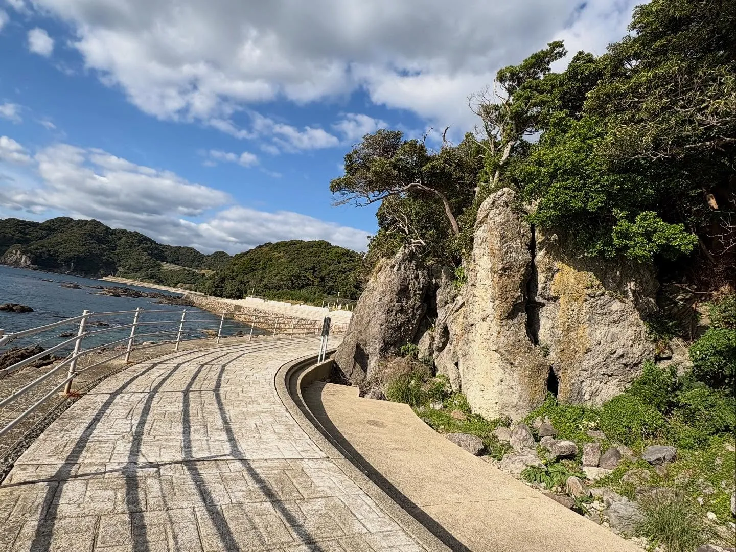 こんばんは❗️いなお造園です😊