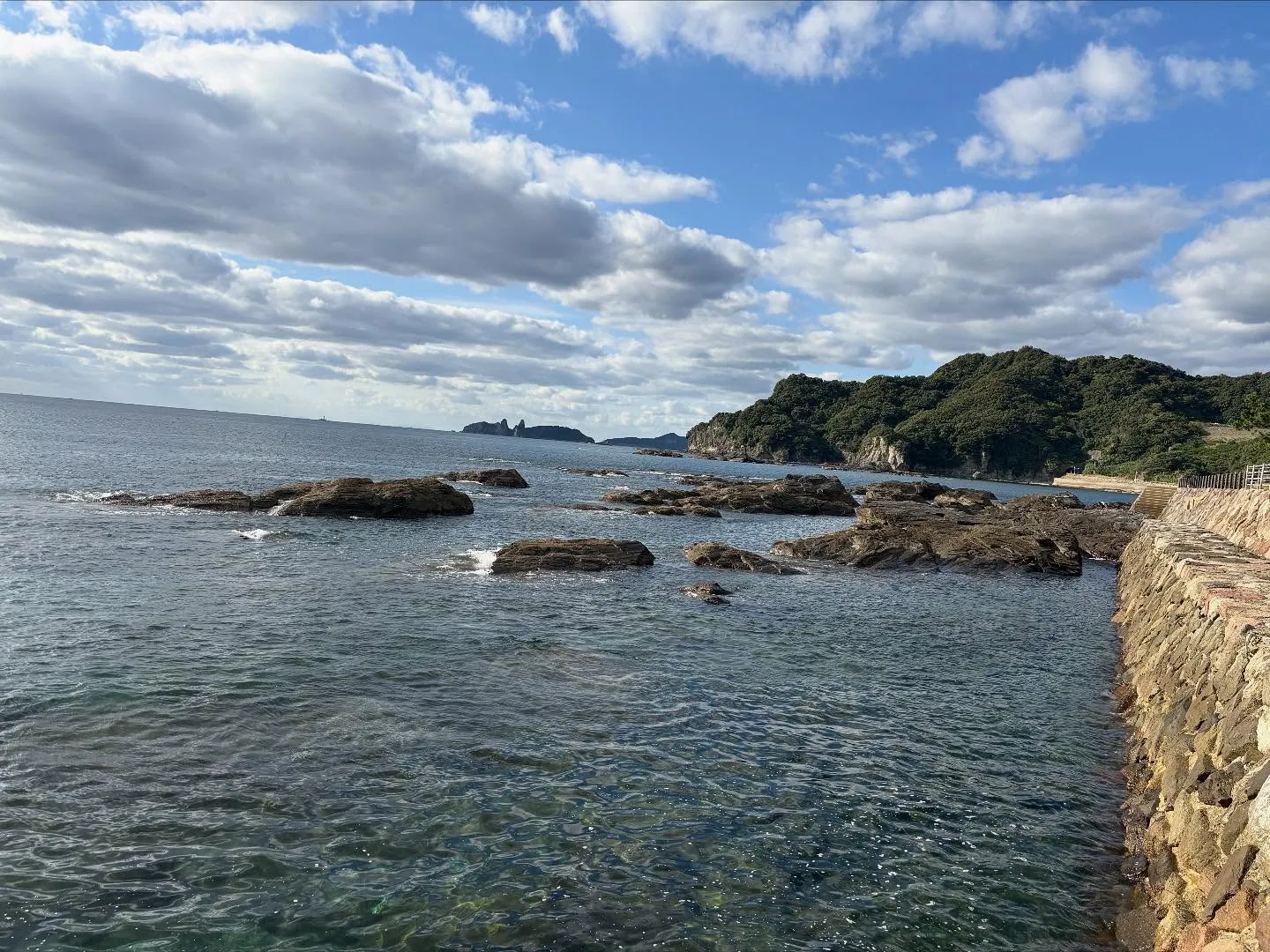 こんばんは❗️いなお造園です😊