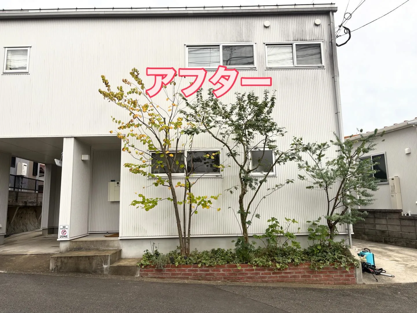 こんばんは❗️いなお造園です😀