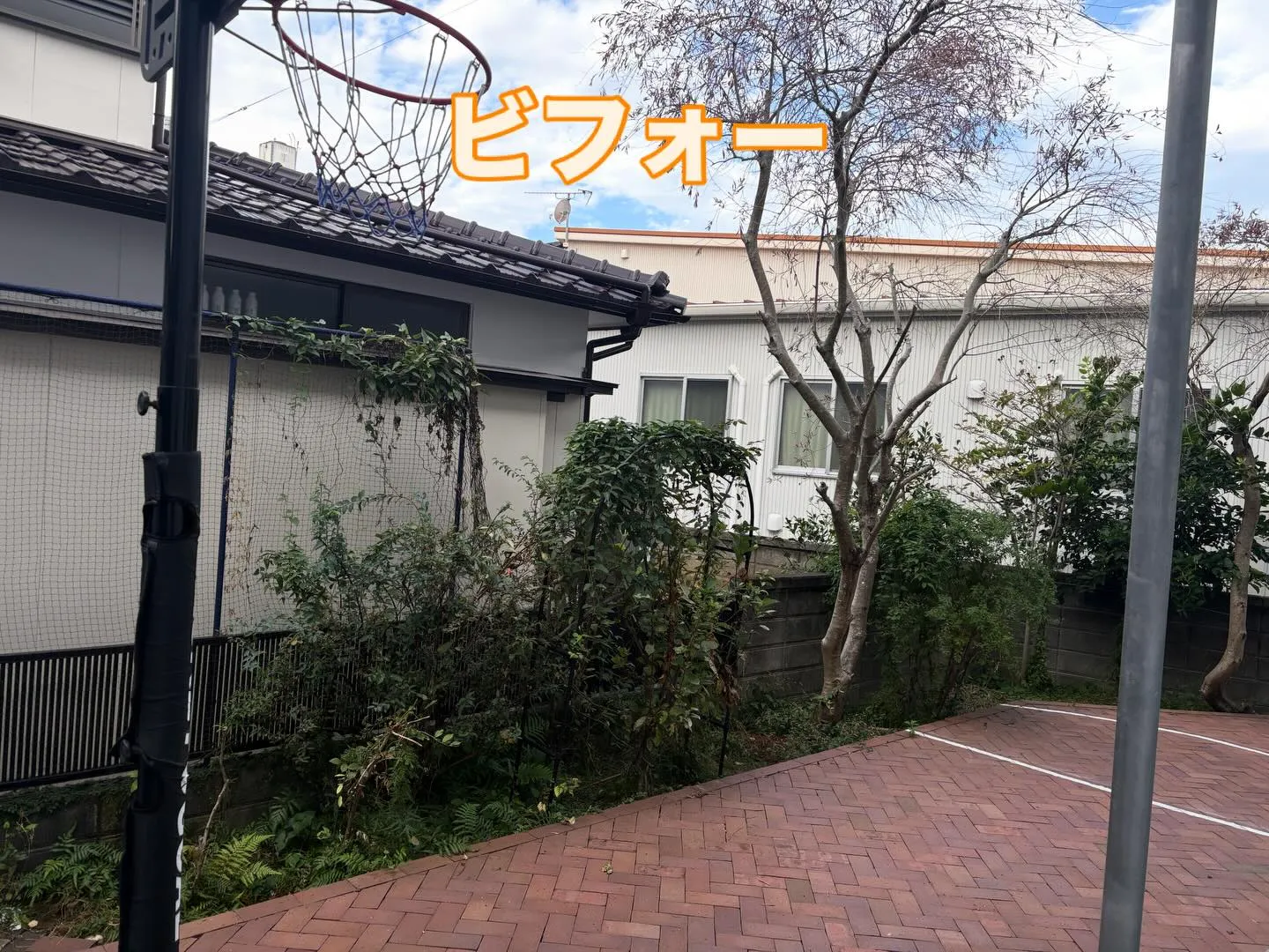 こんばんは❗️いなお造園です😀