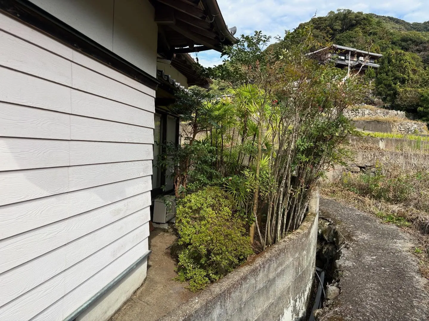 こんにちは！いなお造園です😊