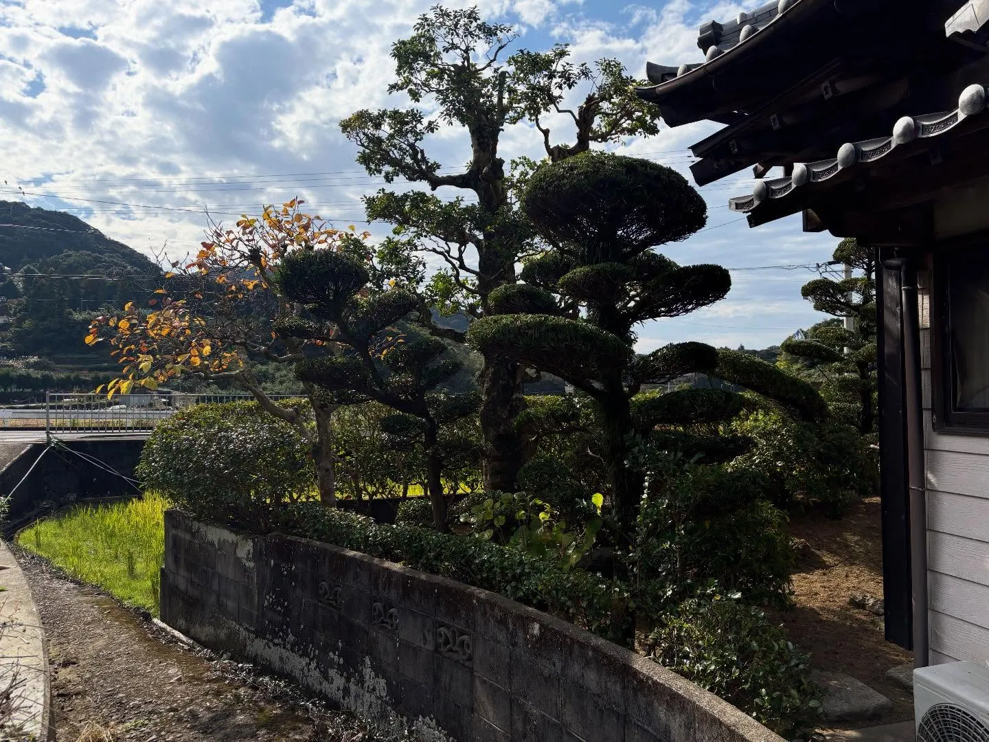 こんにちは！いなお造園です😊