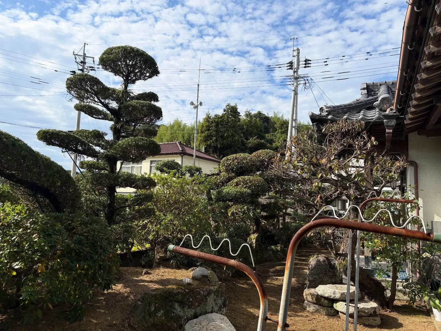 こんにちは！いなお造園です😊