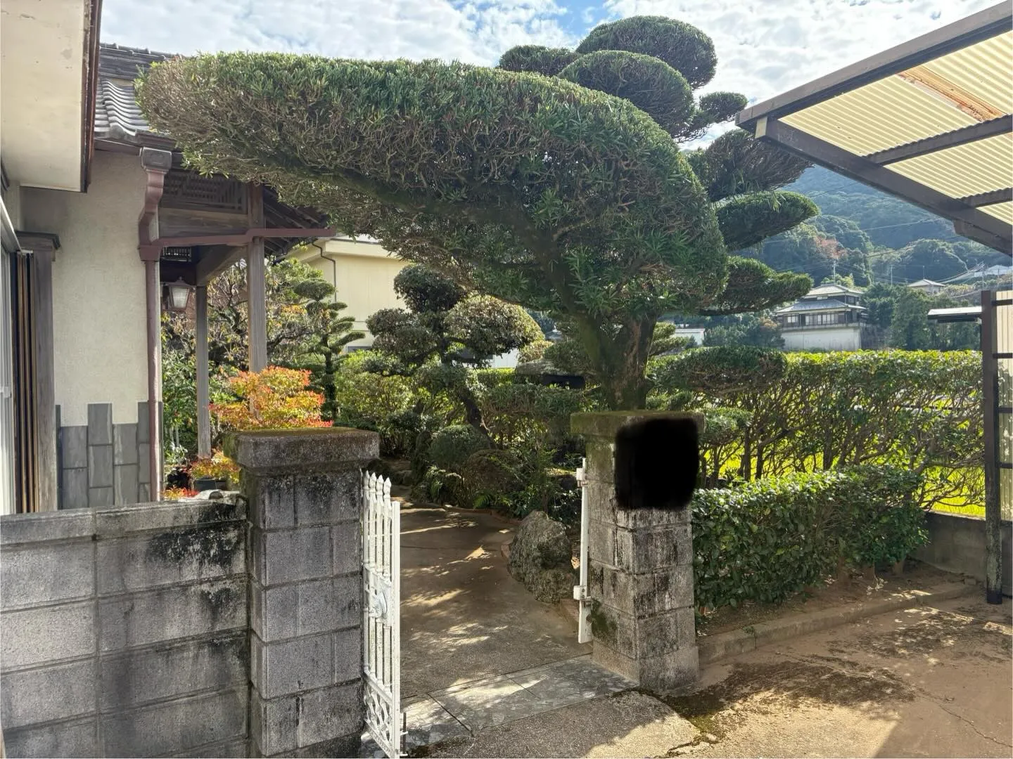 こんにちは！いなお造園です😊