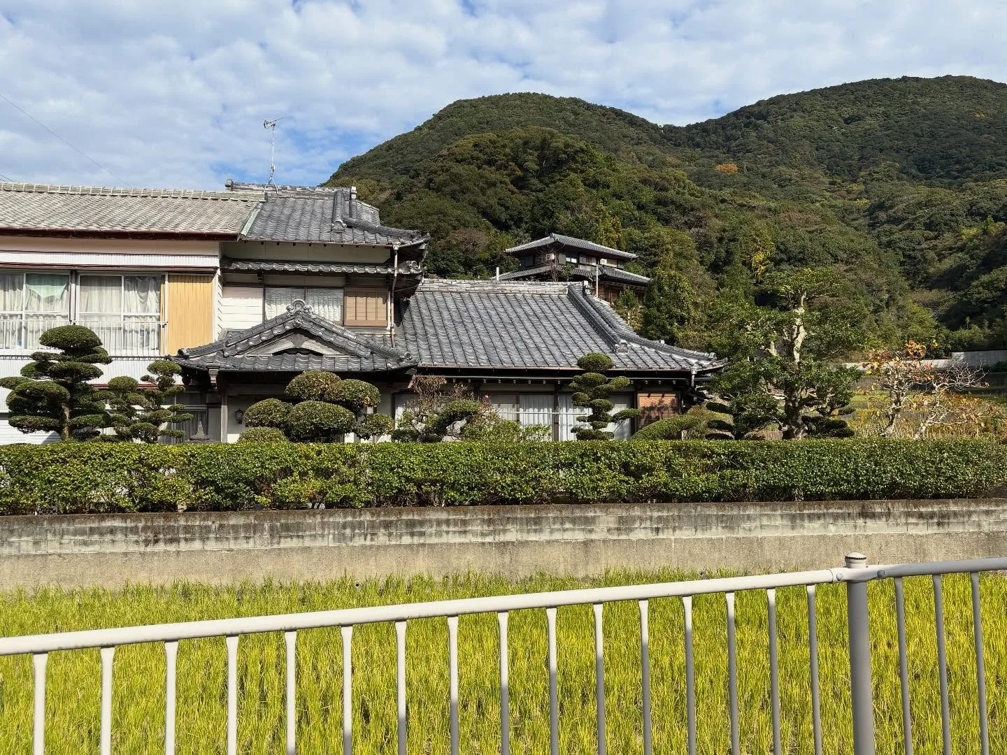 こんにちは！いなお造園です😊