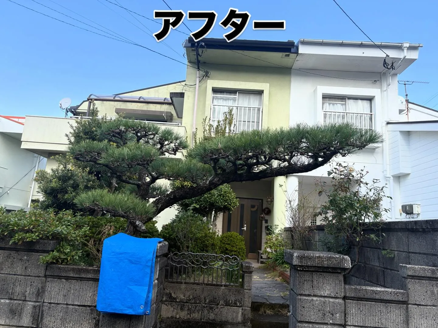 こんばんは！いなお造園です🫡