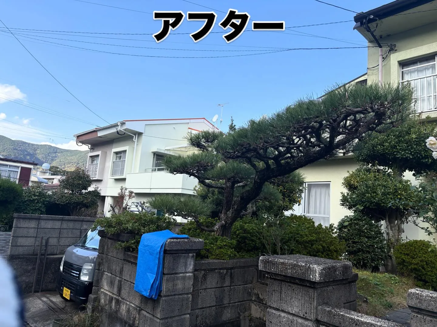 こんばんは！いなお造園です🫡