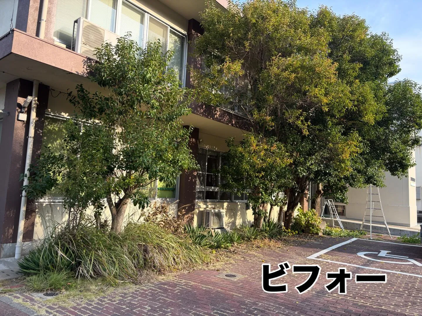 こんにちは🌞いなお造園です！