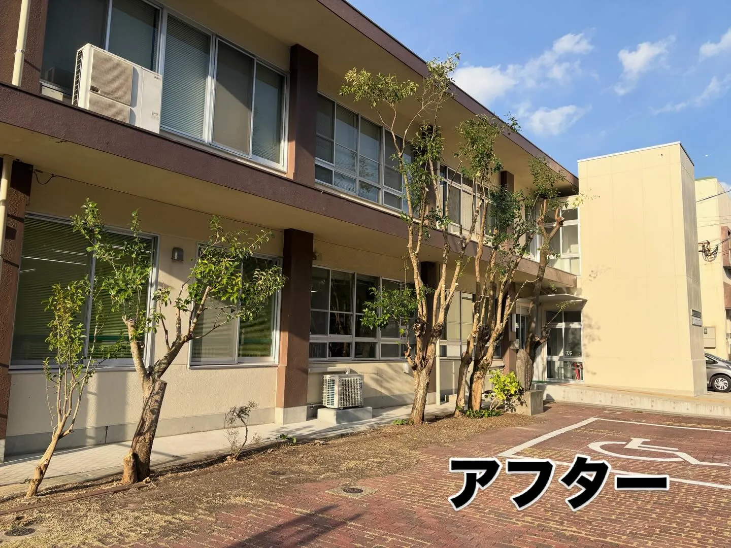 こんにちは🌞いなお造園です！