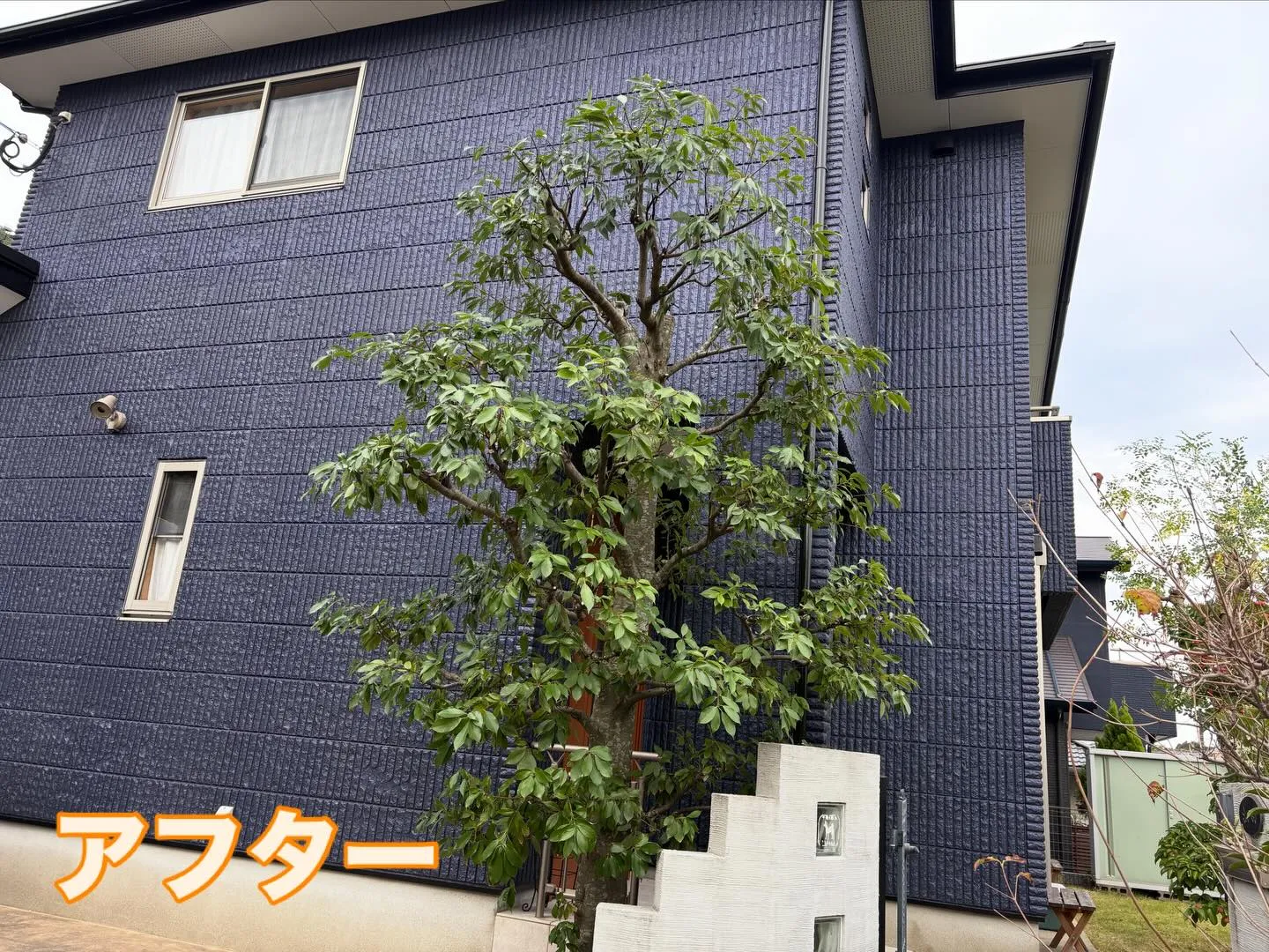 こんにちは🌞いなお造園です🧑‍🌾