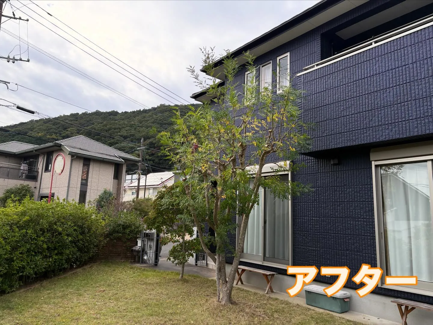 こんにちは🌞いなお造園です🧑‍🌾