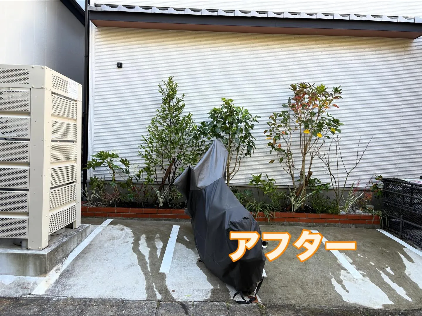 こんにちは🌞いなお造園です🧑‍🌾