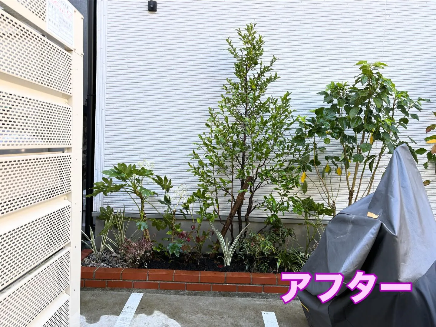 こんにちは🌞いなお造園です🧑‍🌾