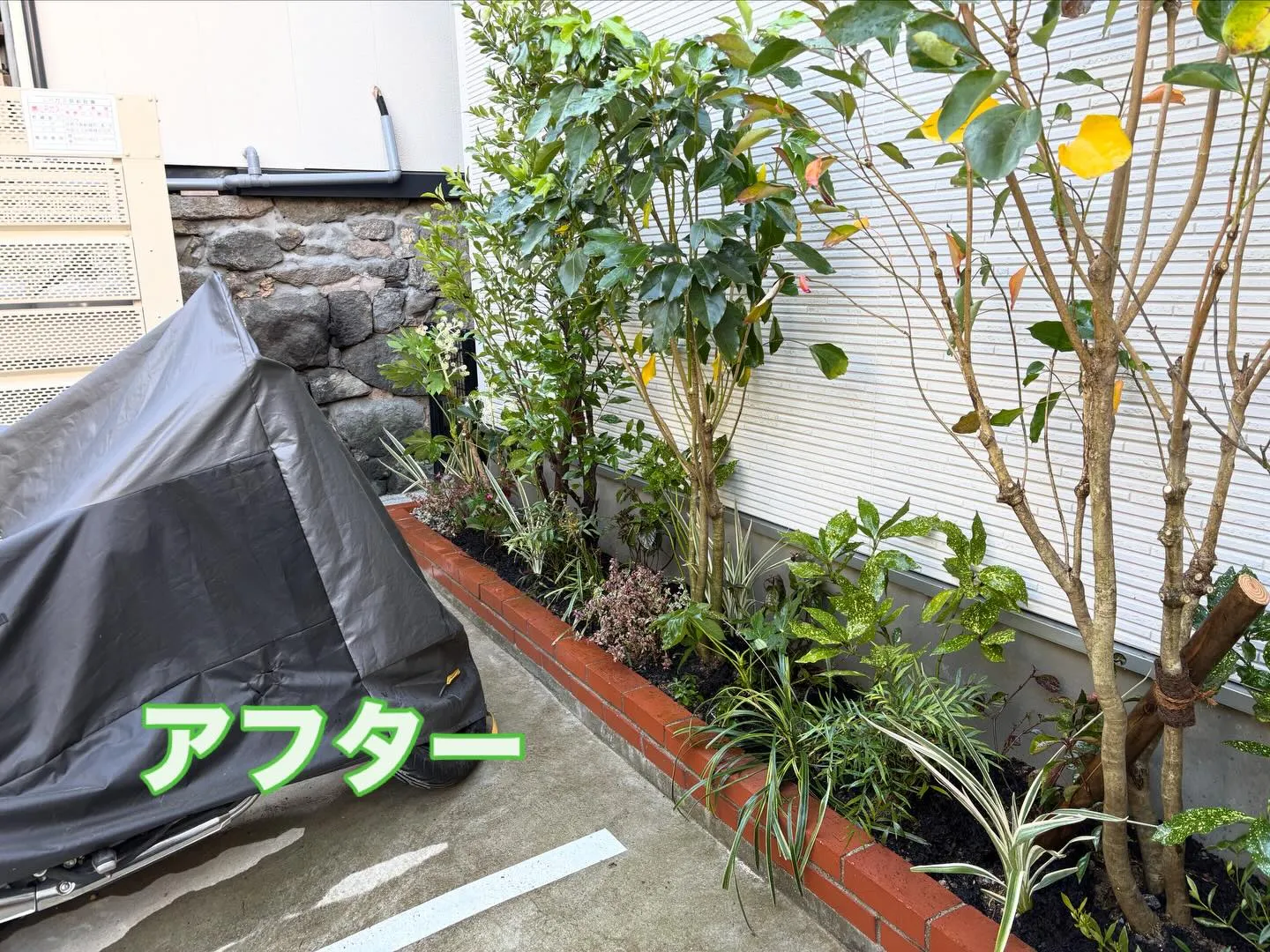 こんにちは🌞いなお造園です🧑‍🌾