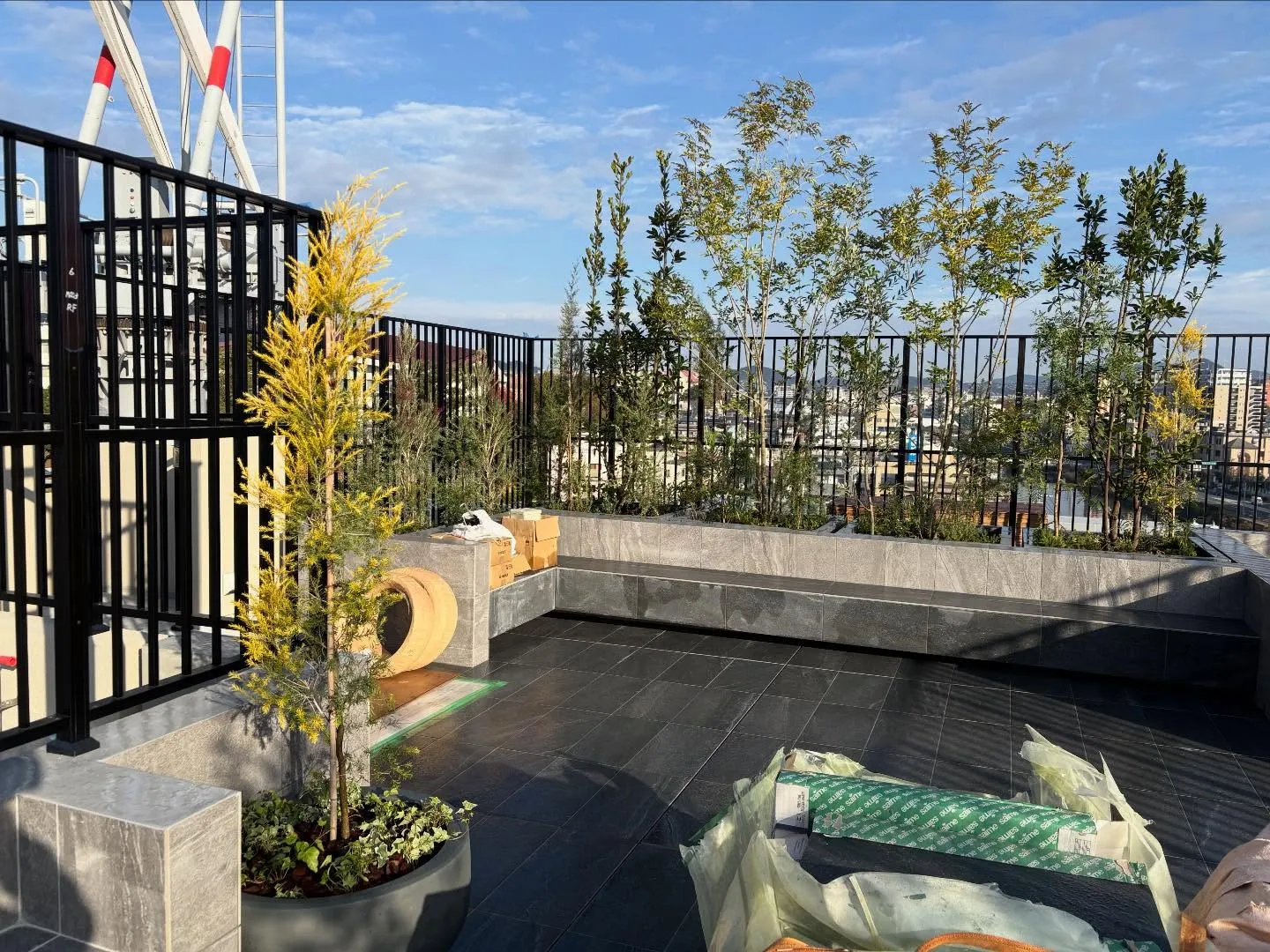 こんにちは🌞いなお造園です🧑‍🌾