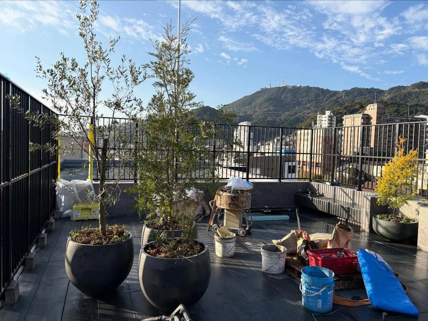 こんにちは🌞いなお造園です🧑‍🌾