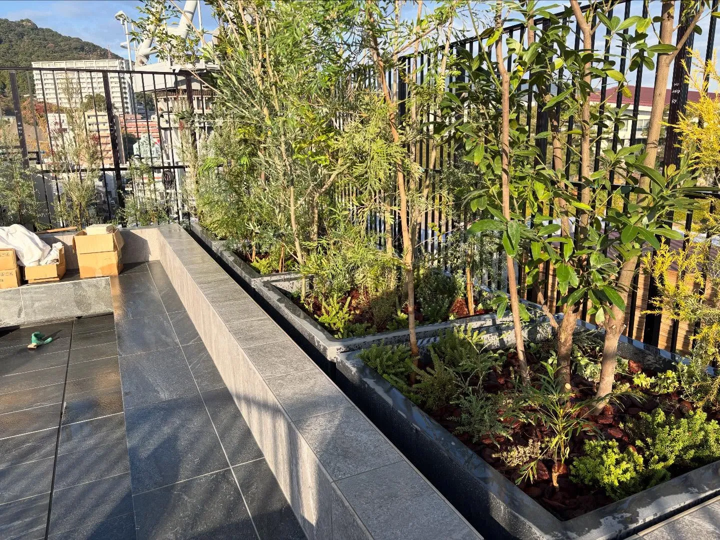 こんにちは🌞いなお造園です🧑‍🌾