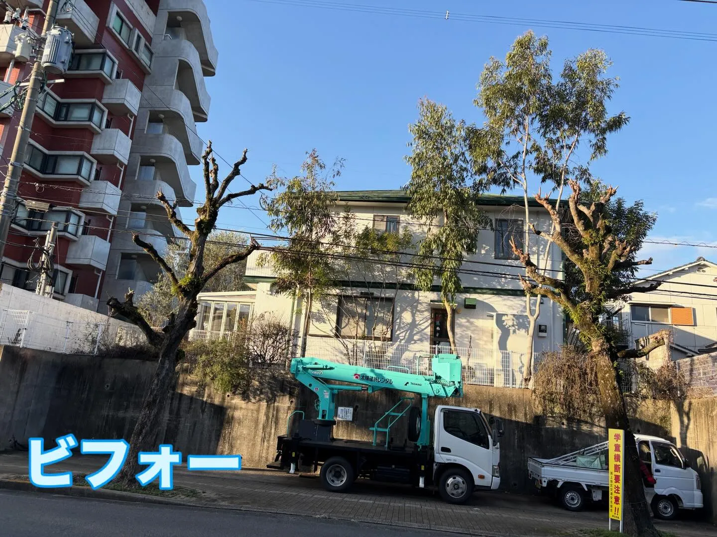 おはようございます🌞いなお造園です❗️