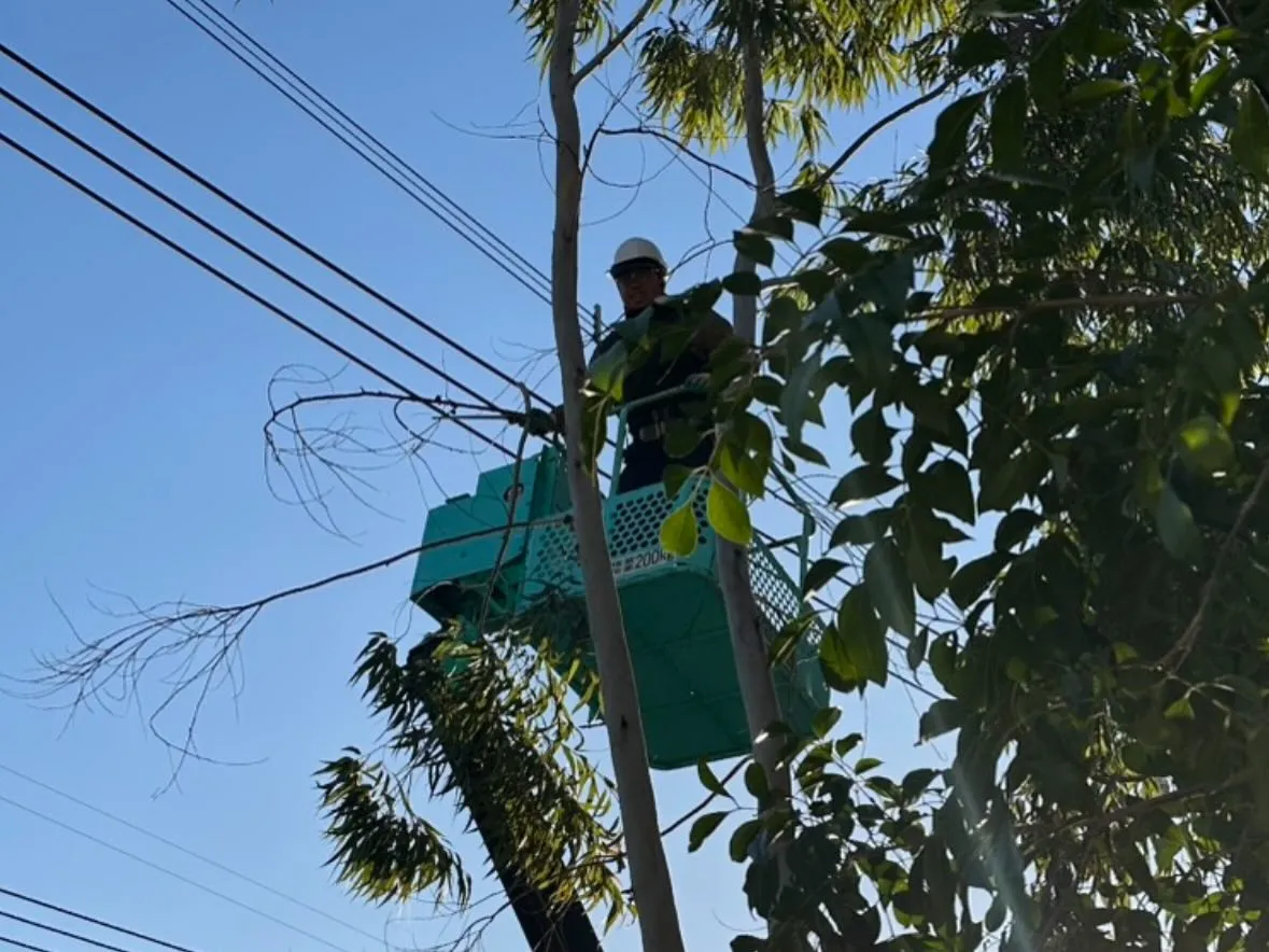 おはようございます🌞いなお造園です❗️