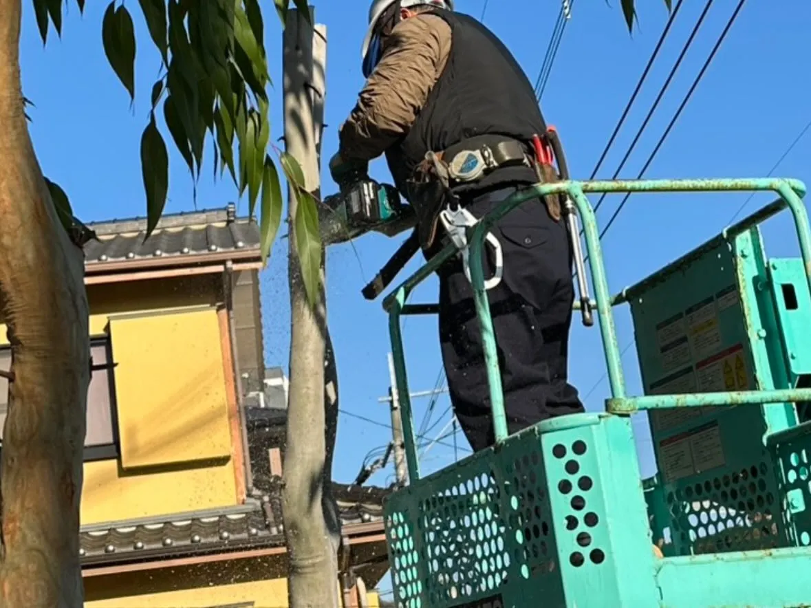 おはようございます🌞いなお造園です❗️