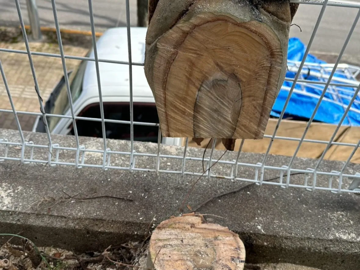おはようございます🌞いなお造園です❗️