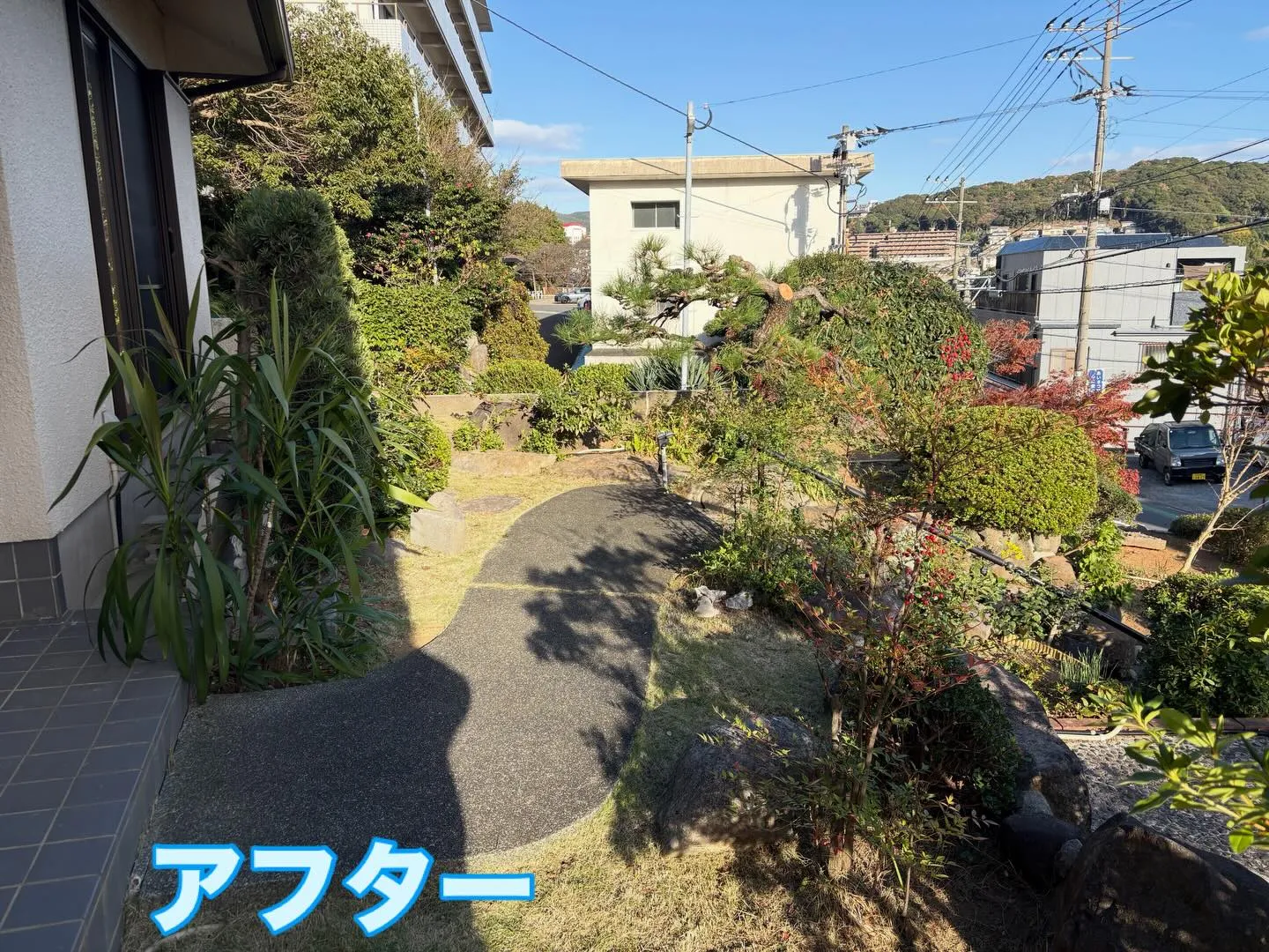 こんばんは🌇いなお造園です❗️