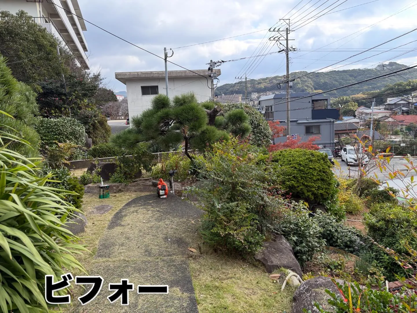 こんばんは🌇いなお造園です❗️