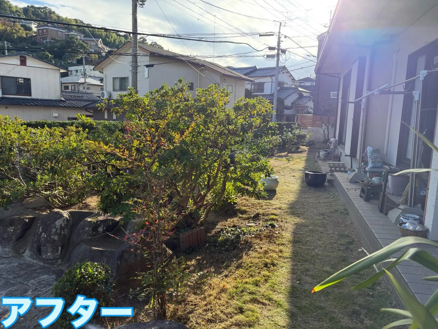 こんばんは🌇いなお造園です❗️