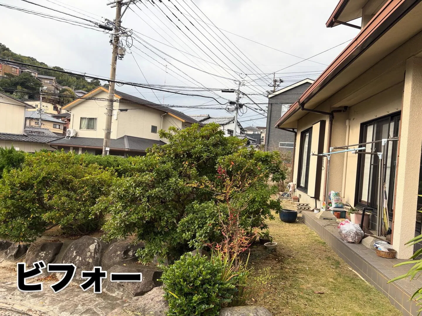 こんばんは🌇いなお造園です❗️