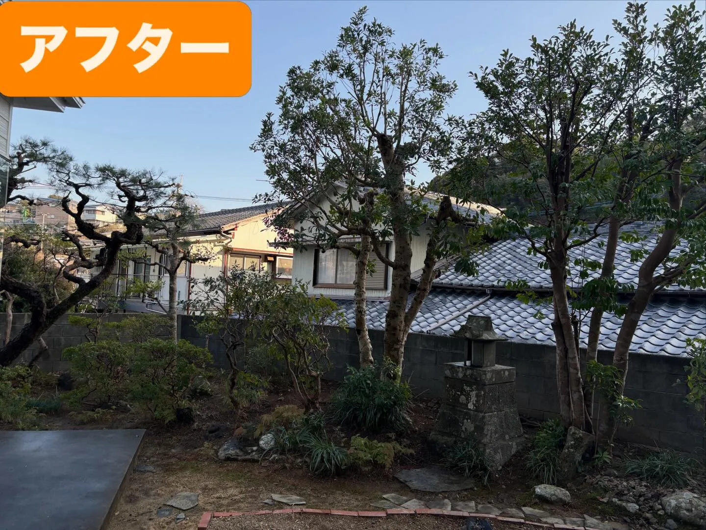 こんばんは❗️いなお造園です🪴