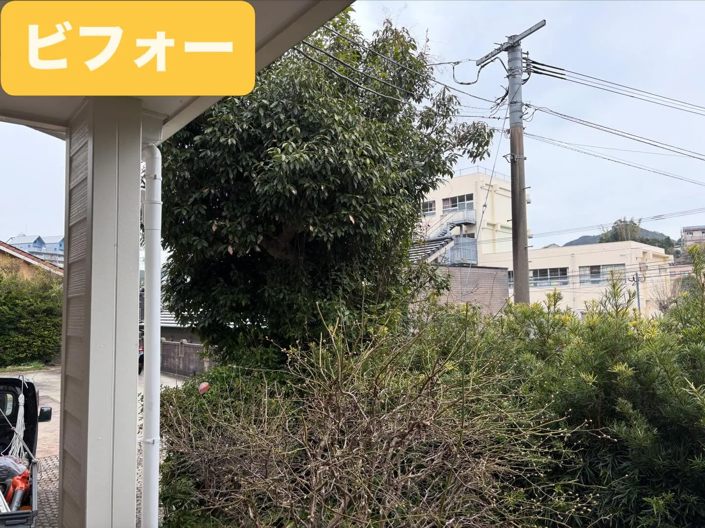 こんばんは❗️いなお造園です🪴