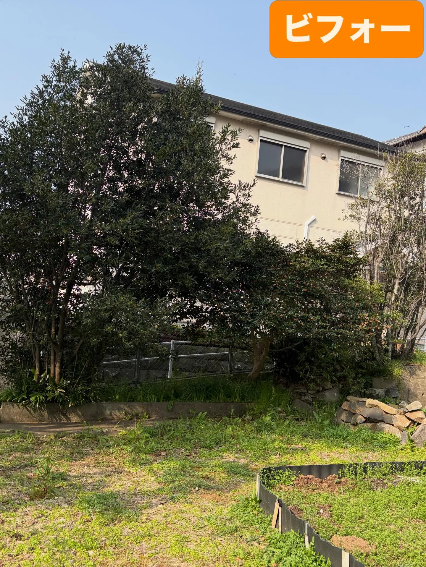 こんにちは☔️ いなお造園です👨‍🌾