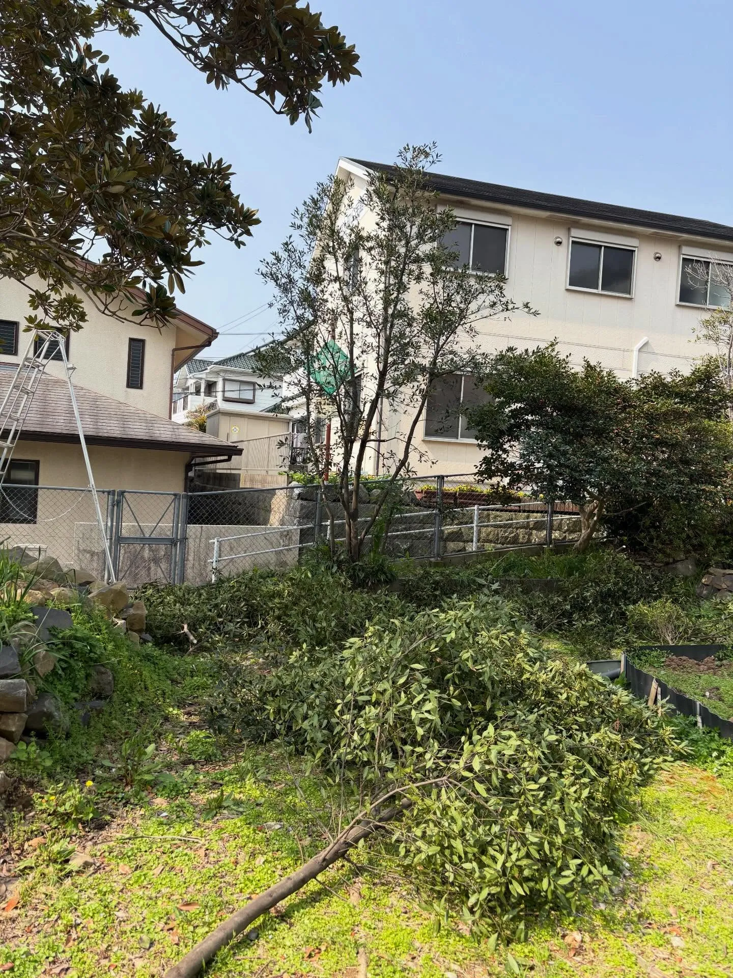 こんにちは☔️ いなお造園です👨‍🌾