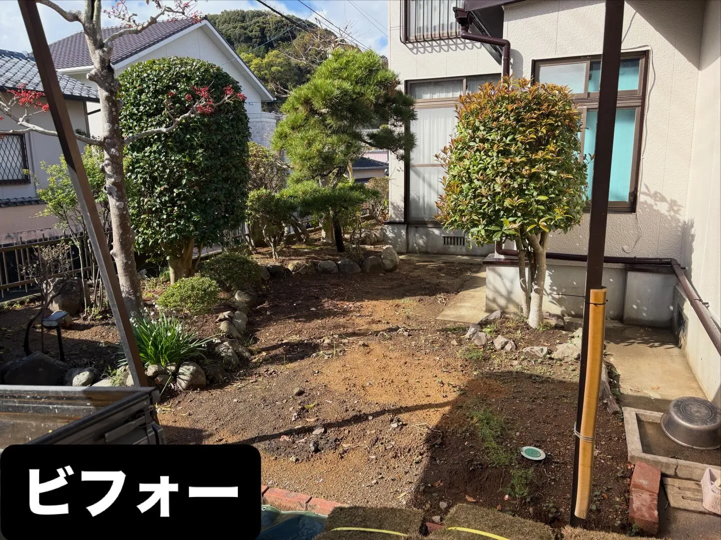 こんばんは🌆いなお造園です❗️