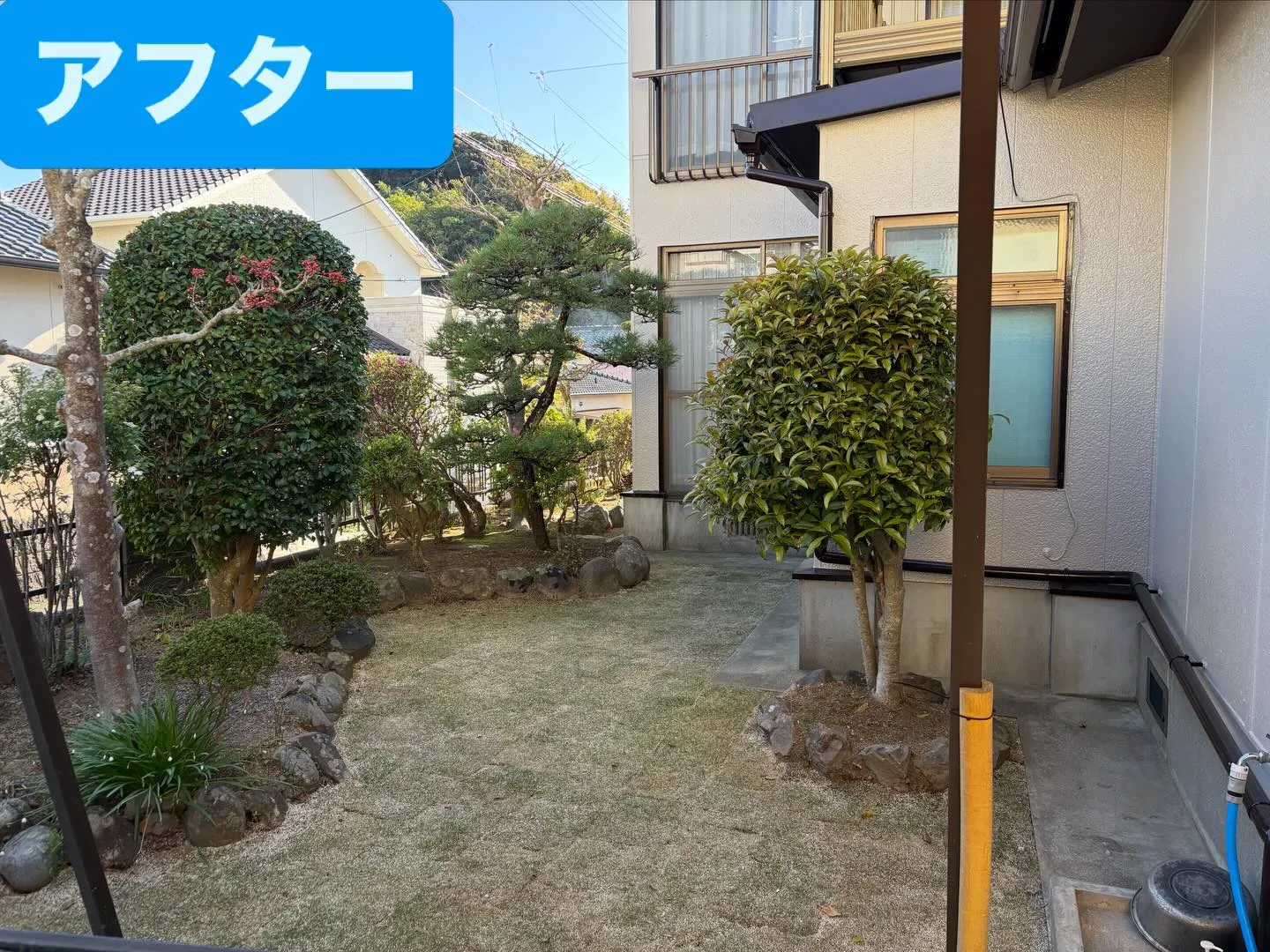 こんばんは🌆いなお造園です❗️