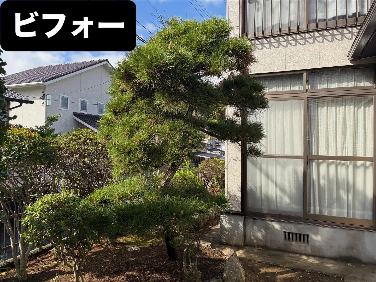 こんばんは🌆いなお造園です❗️