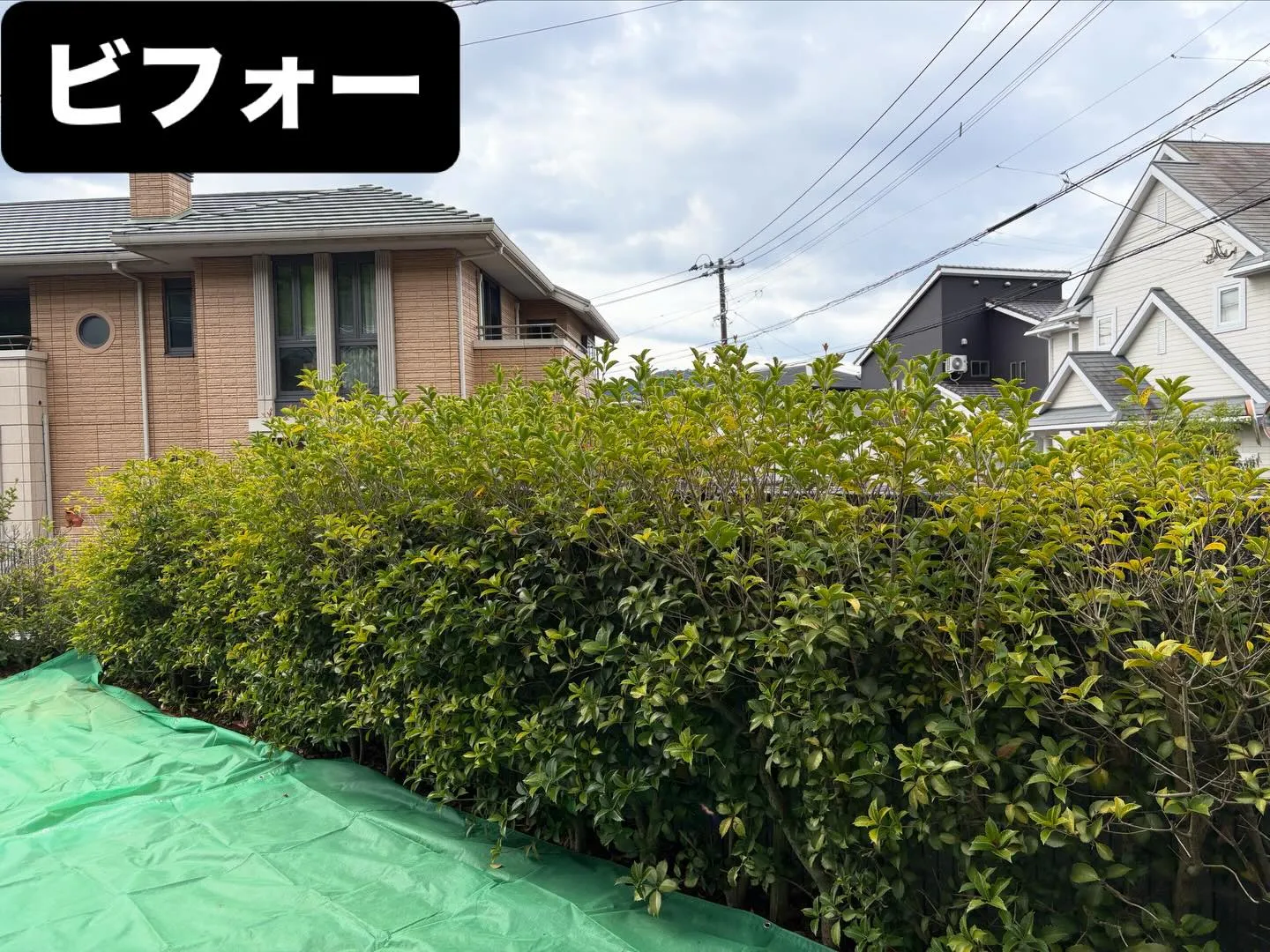 こんばんは🌆いなお造園です❗️