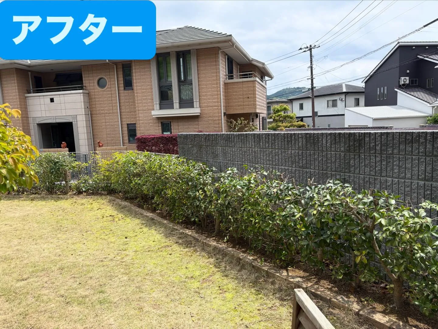 こんばんは🌆いなお造園です❗️