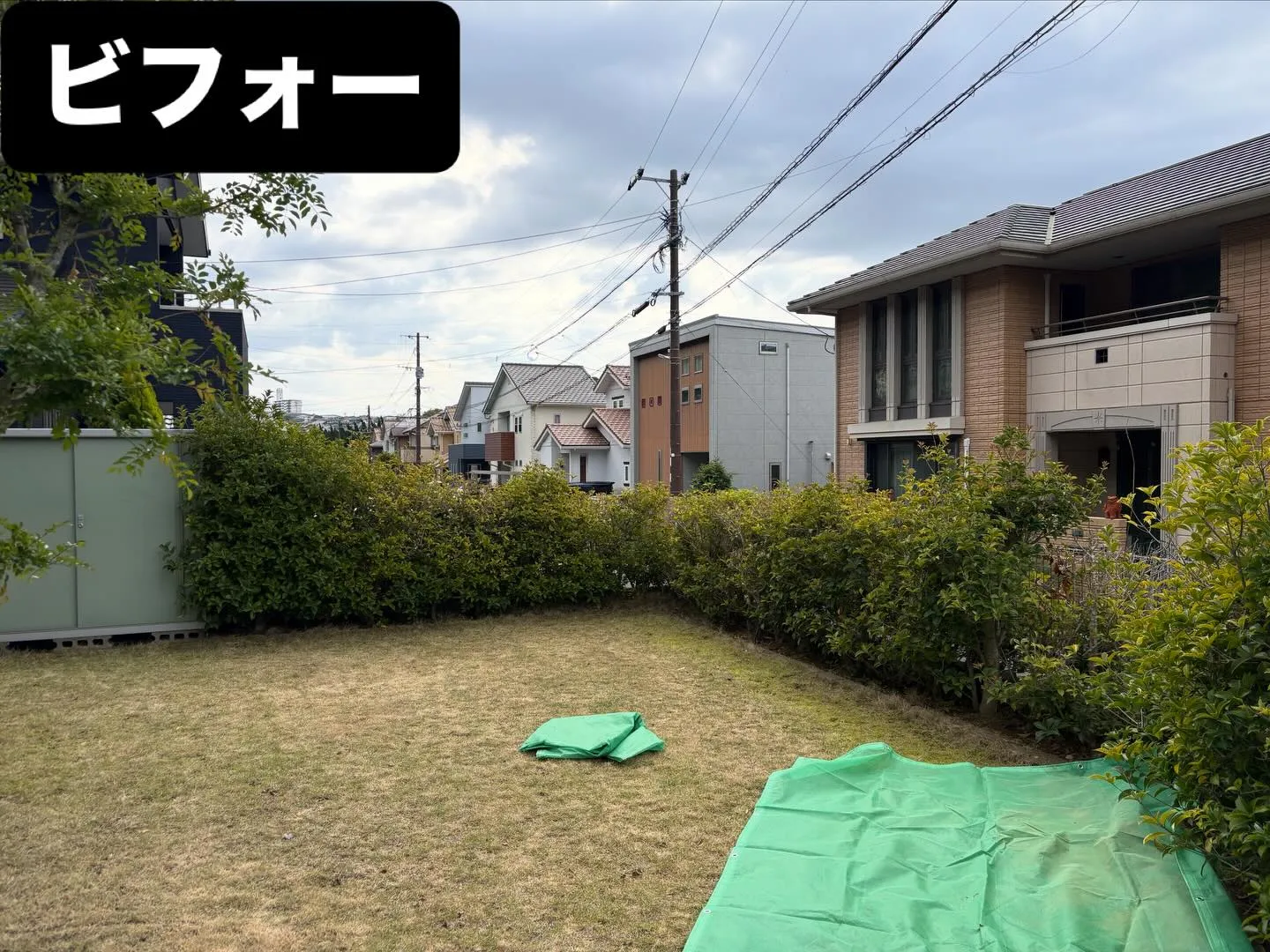 こんばんは🌆いなお造園です❗️