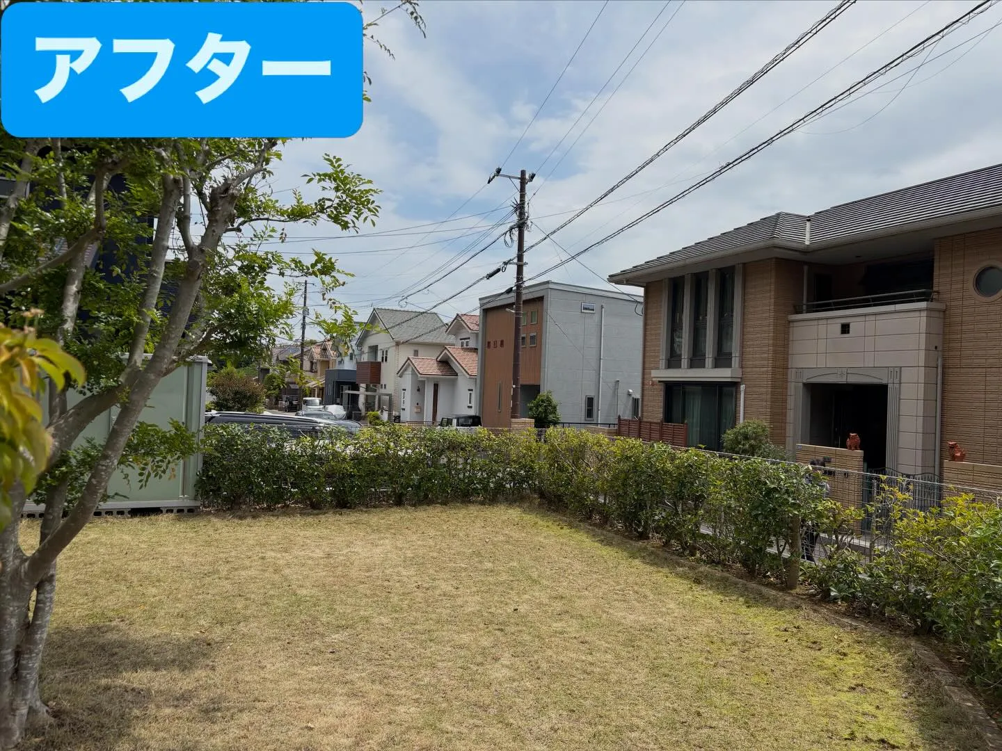 こんばんは🌆いなお造園です❗️