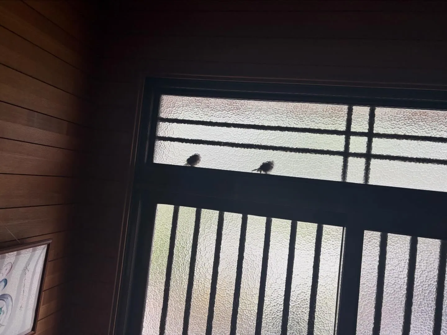 こんばんは🌆いなお造園です❗️