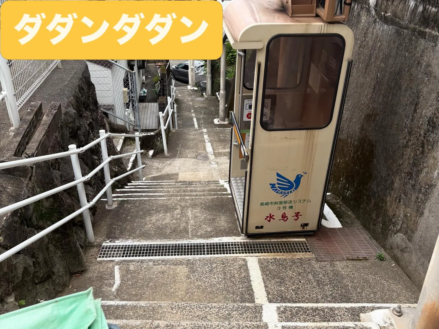 こんばんは🌇いなお造園です❗️