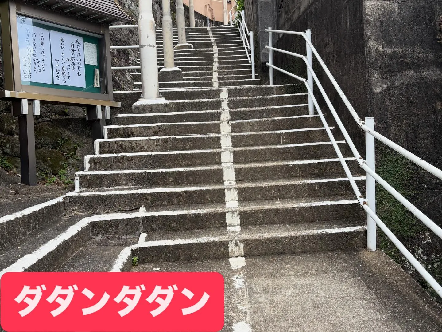 こんばんは🌇いなお造園です❗️