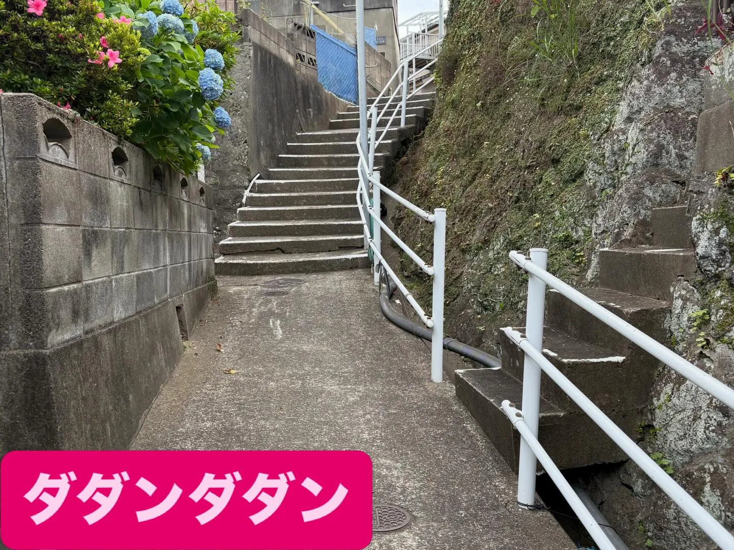 こんばんは🌇いなお造園です❗️