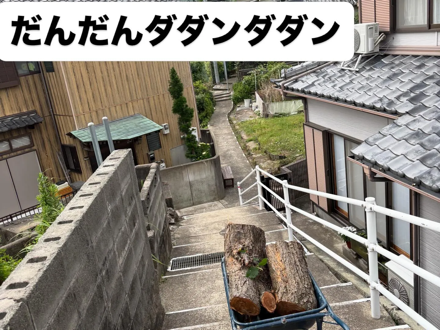 こんばんは🌇いなお造園です❗️