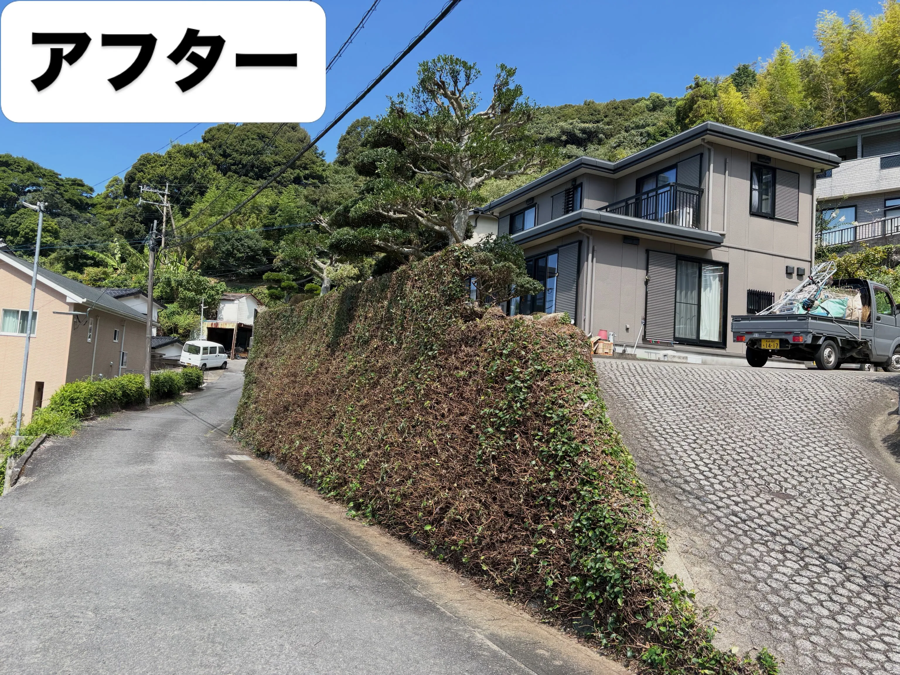 お久しぶりです❗️いなお造園です👨‍🌾